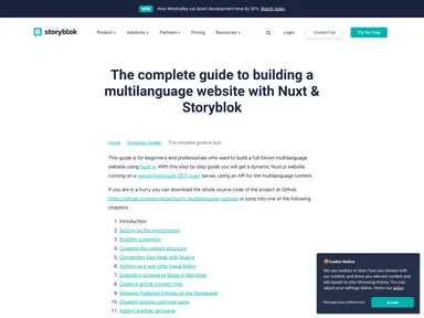 Nuxtjs Multilanguage Website screenshot